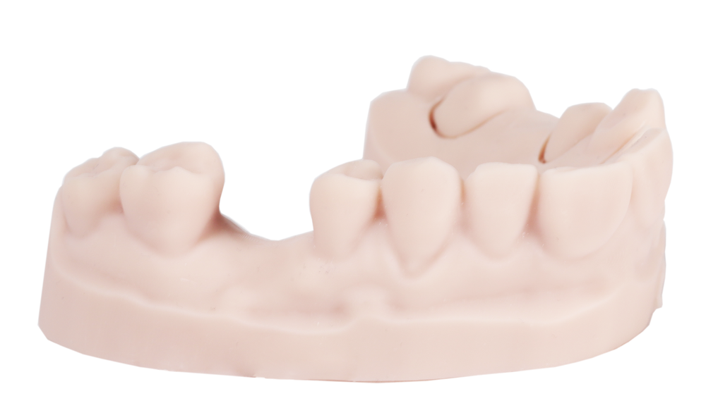 DentaPrint Model (1kg)