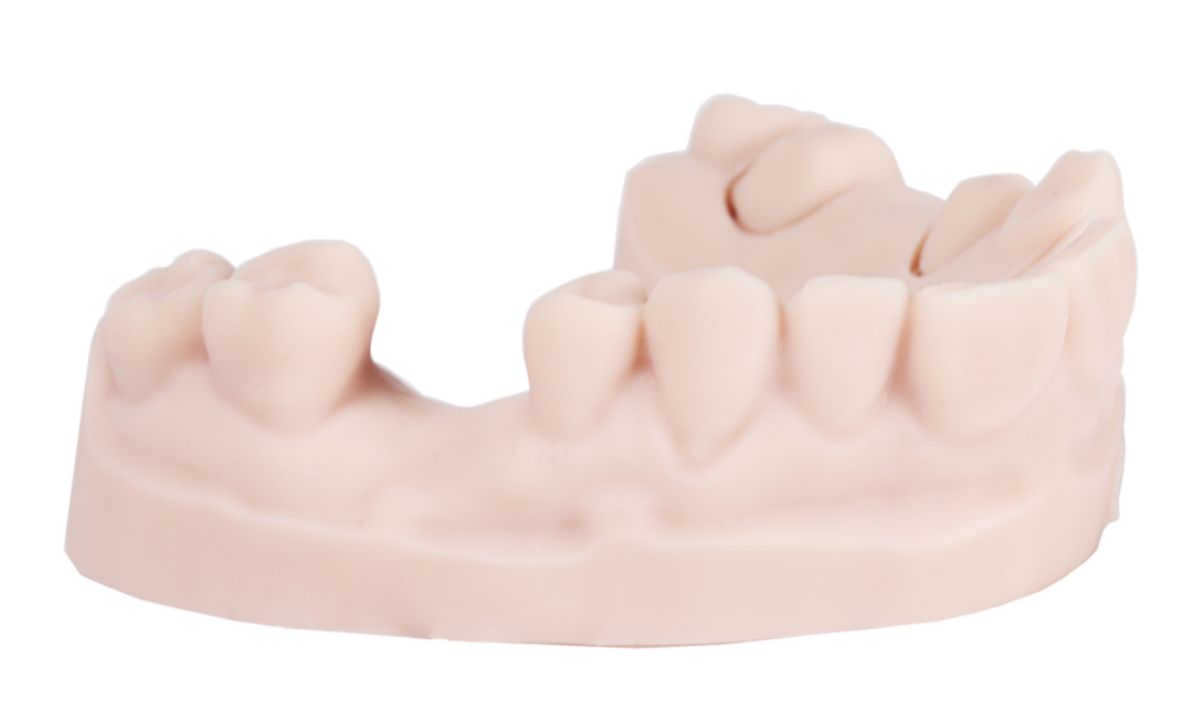 DentaPrint Model (1kg)