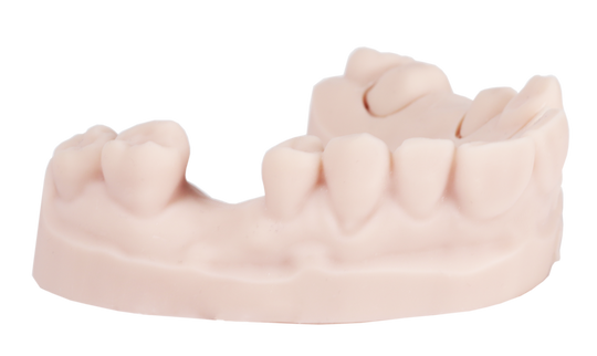 DentaPrint Model (1kg)