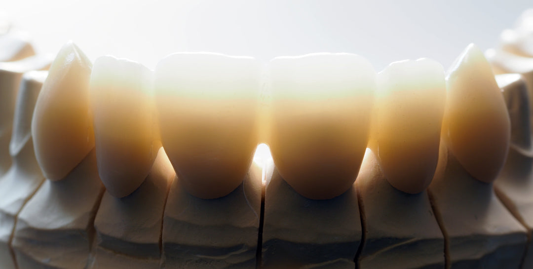 LayZir<sup>®</sup> All Indication Zirconia Disc