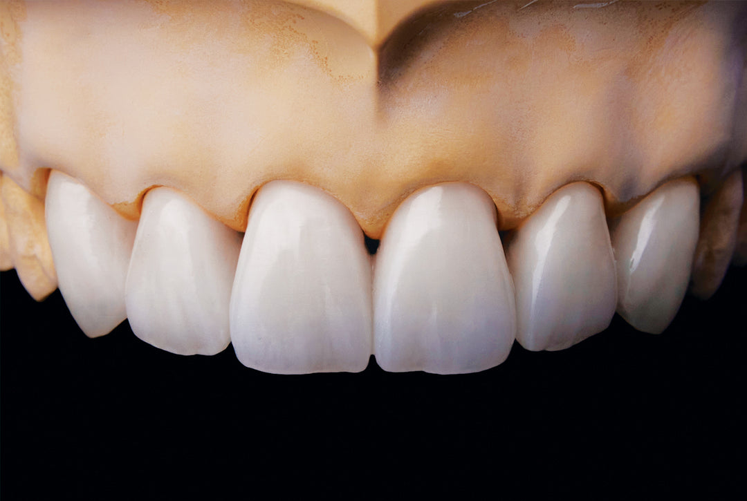 LayZir<sup>®</sup> All Indication Zirconia Disc